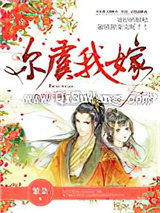 尔虞我嫁小说
