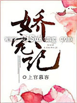 娇宠记（作者：上官慕容）小说