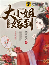 大小姐嫁到小说