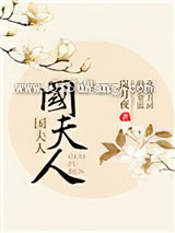国夫人小说