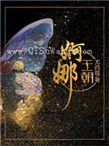 婀娜王朝小说