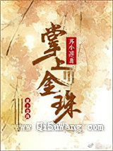 掌上金珠小说