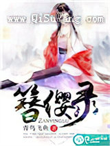 簪缨录小说