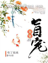 盲宠小说