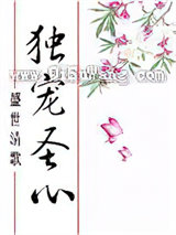 独宠圣心小说