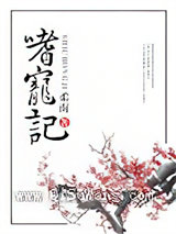 嗜宠记小说