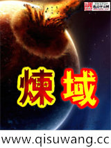 炼域小说