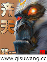 齐天小说