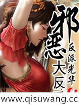 邪恶大反派小说