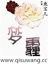 梦霾小说