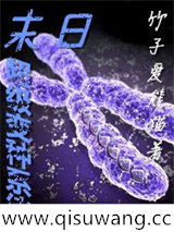 末日超级变种系统小说