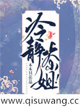 冷静，大小姐！小说