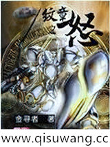 纹章之怒小说