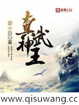 真武神王小说