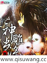 神雕出没小说