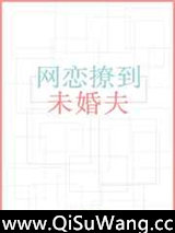 网恋撩到未婚夫小说