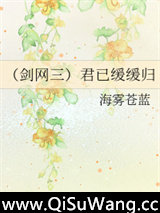 （剑网三）君已缓缓归小说