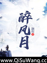 醉风月小说