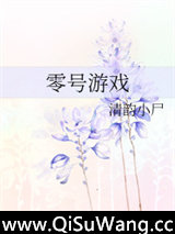 零号游戏小说