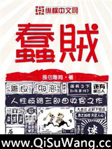 蠢贼小说