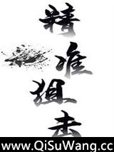 精准狙击小说