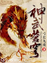 神武苍穹小说