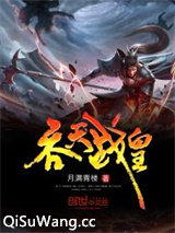 吞天战皇小说