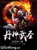 丹神武圣小说
