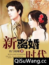 新离婚时代小说