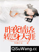 昨夜情话，转身天涯小说