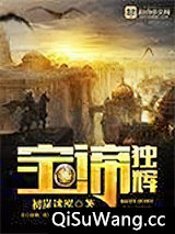 宝谛独辉小说