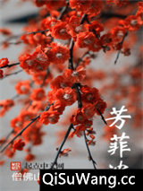 芳菲浓小说