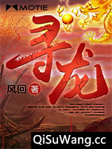 寻龙小说