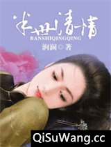 半世清情小说