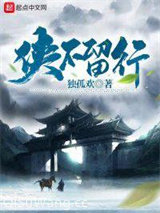 侠不留行小说