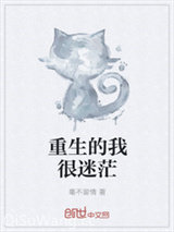 重生的我很迷茫小说