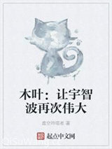 木叶：让宇智波再次伟大小说