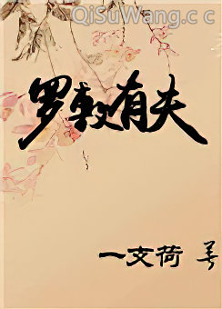 罗敷有夫小说