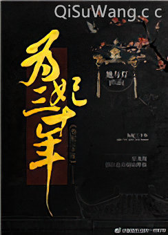 为妃三十年小说