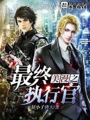 美漫之最终执行官小说