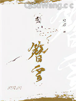 鬓簪云小说