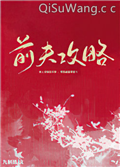 前夫攻略小说