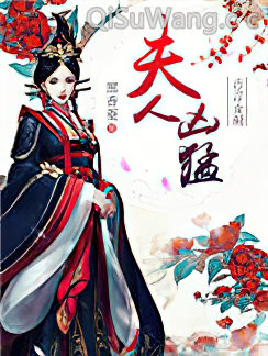 夫人凶猛小说