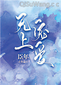 无上宠爱小说