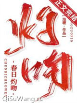 春日灼吻小说