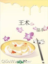 王术小说