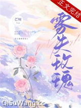 雾失玫瑰小说