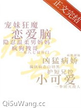偏爱小说