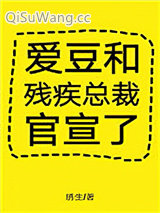 爱豆和残疾总裁官宣了小说