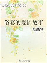 俗套的爱情故事小说